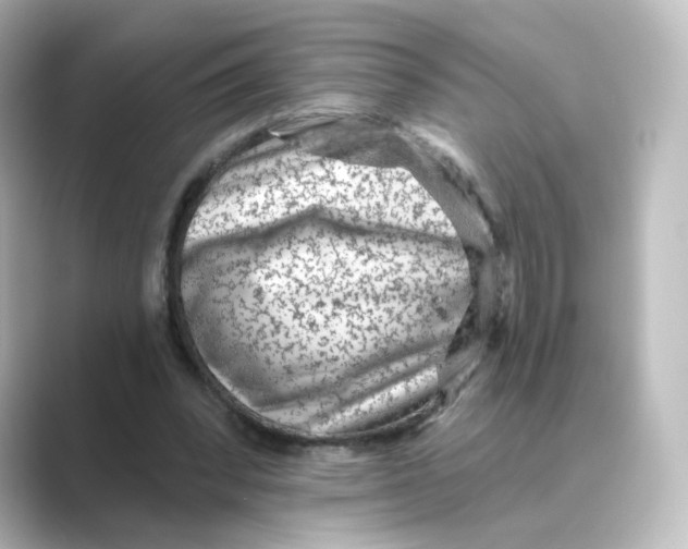 X0000088730392200706212043