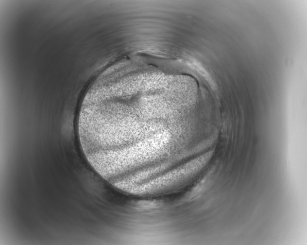 X0000088730394200706212043