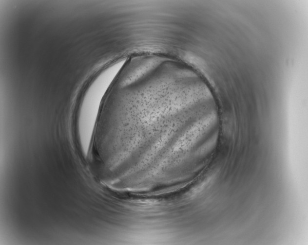 X0000088730395200706212043