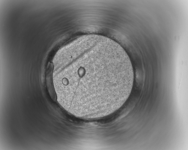 X0000088730396200706212042