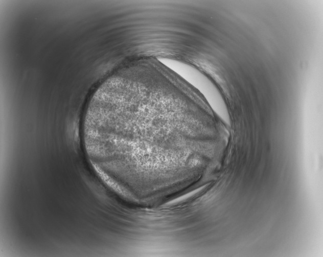 X0000088730398200706212042