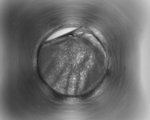 X0000088730399200706212042