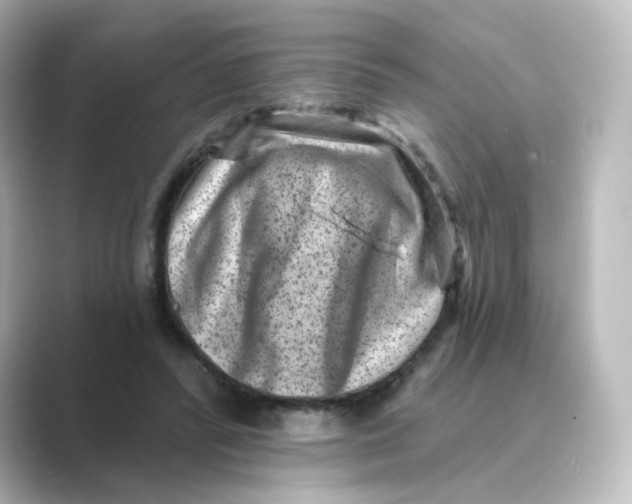 X0000088730400200706212042