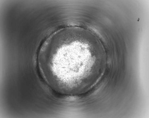 X0000088730402200706212042