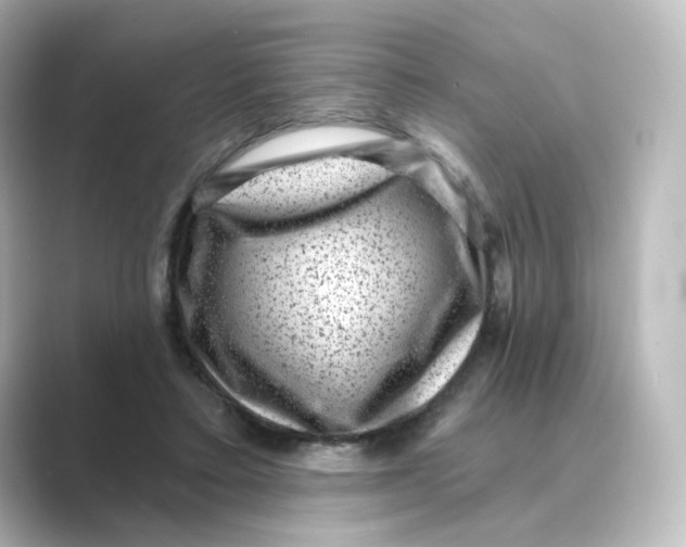 X0000088730403200706212042