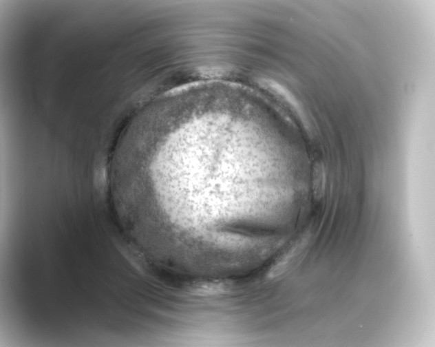 X0000088730405200706212042