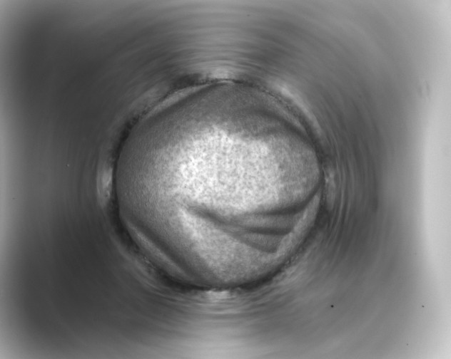 X0000088730406200706212042