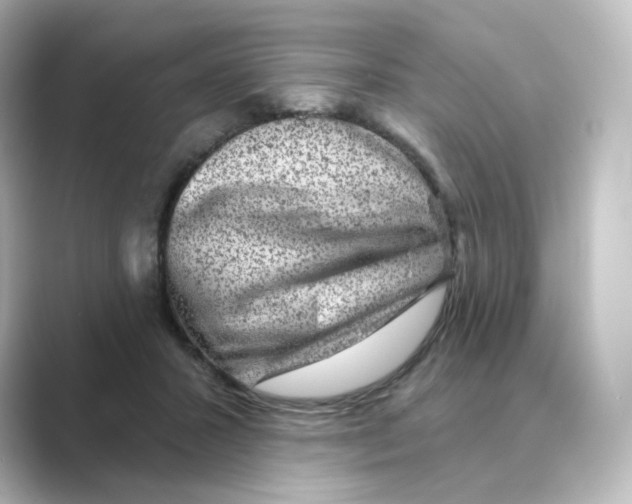 X0000088730407200706212042