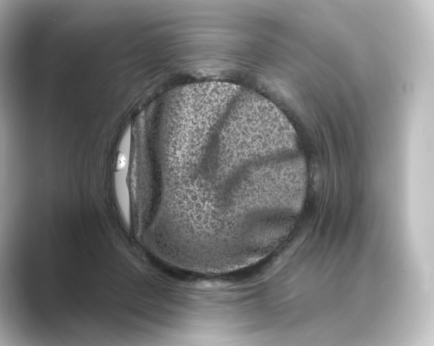 X0000088730408200706212042