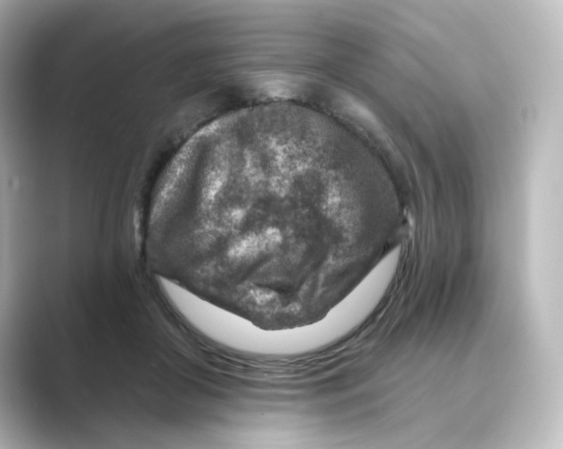 X0000088730410200706212042