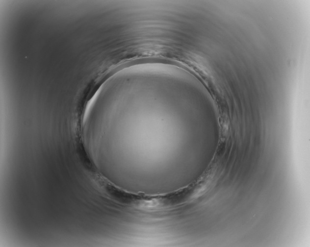 X0000088730411200706212042