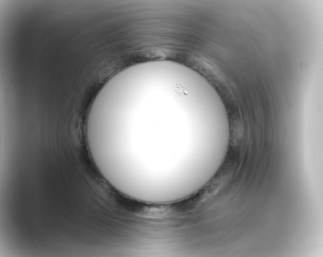 X0000088730414200706212042