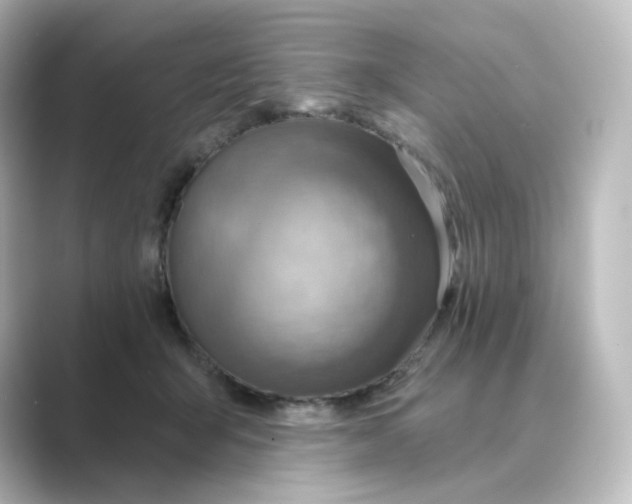 X0000088730415200706212042