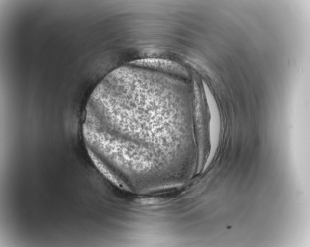 X0000088730417200706212042