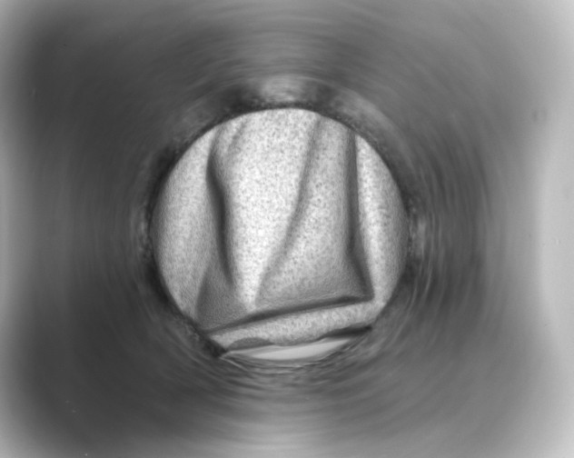 X0000088730418200706212042