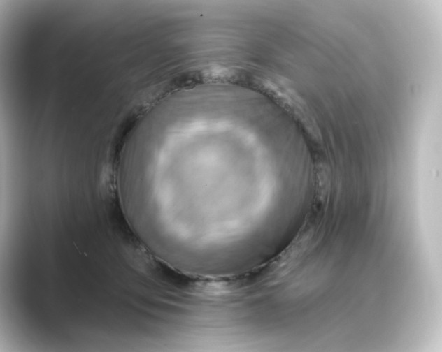 X0000088730419200706212042