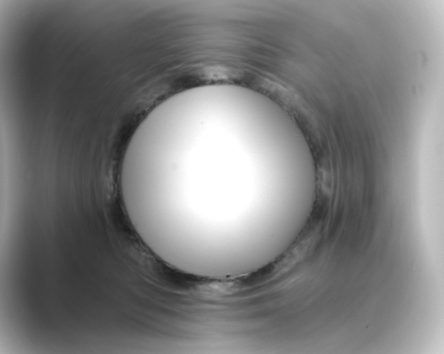 X0000088730422200706212042