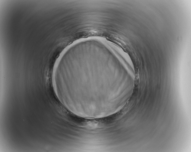 X0000088730423200706212042