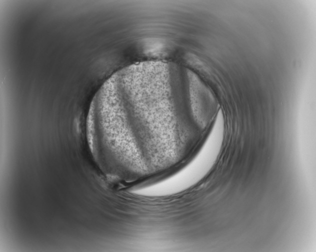 X0000088730424200706212042