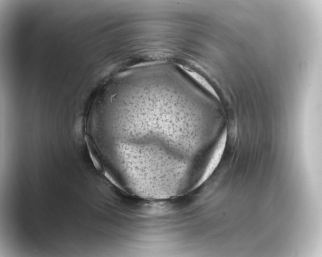 X0000088730428200706212042