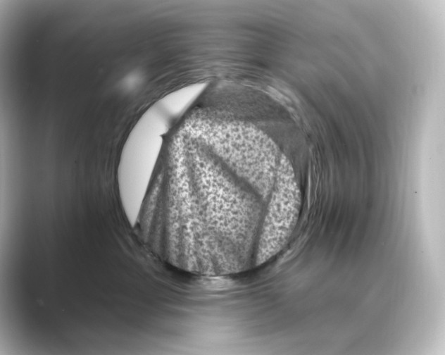 X0000088730429200706212042