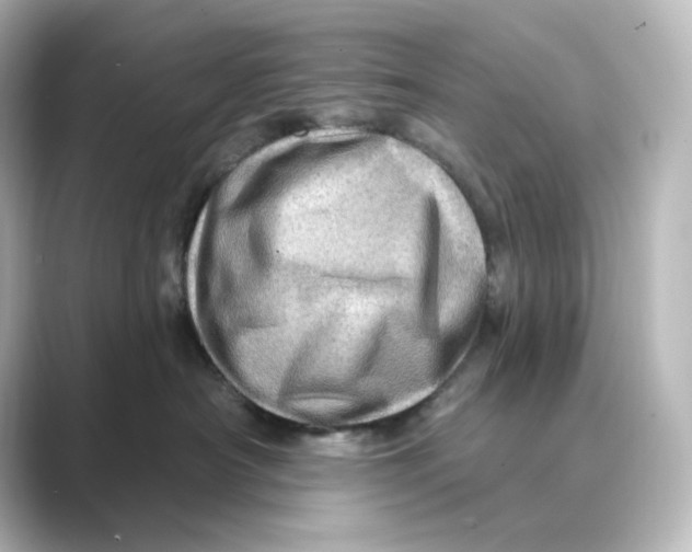 X0000088730430200706212042