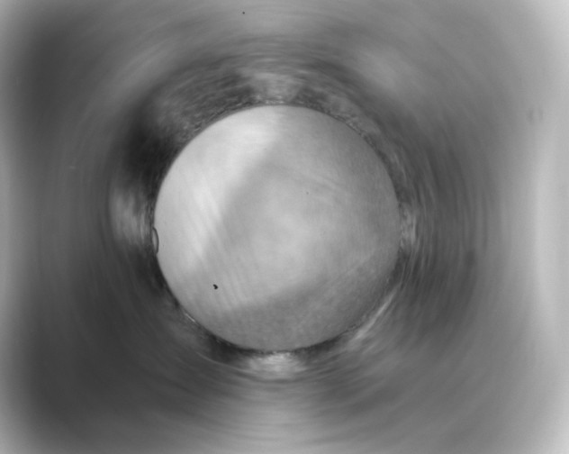 X0000088730431200706212042