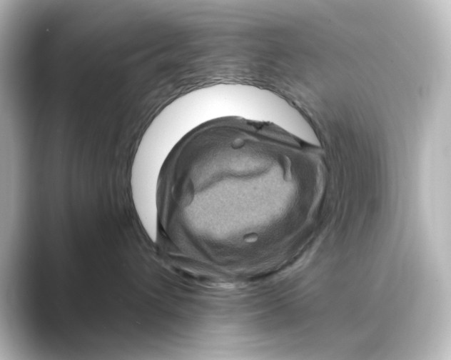 X0000088730432200706212042