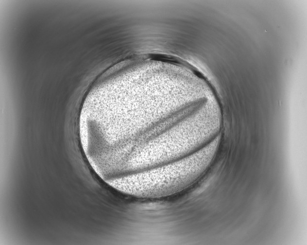 X0000088730433200706212042