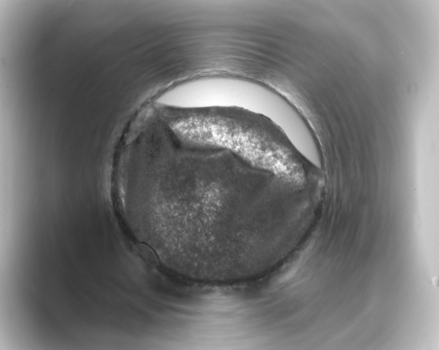 X0000088730434200706212042