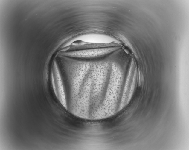 X0000088730435200706212042