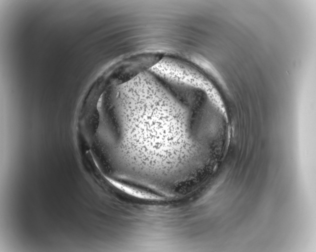 X0000088730436200706212042