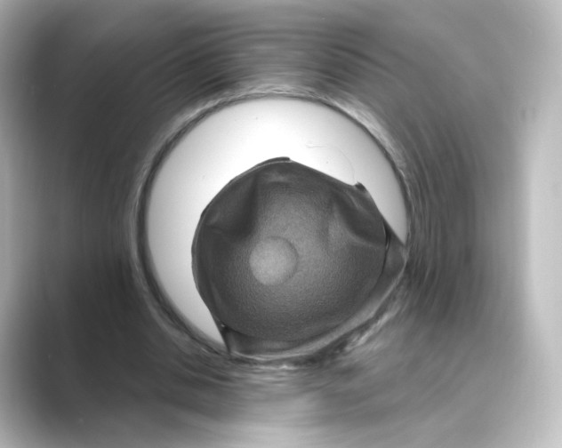 X0000088730438200706212042