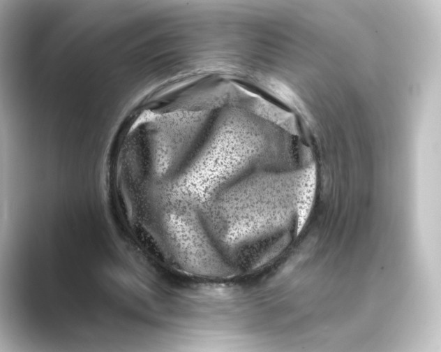 X0000088730439200706212042