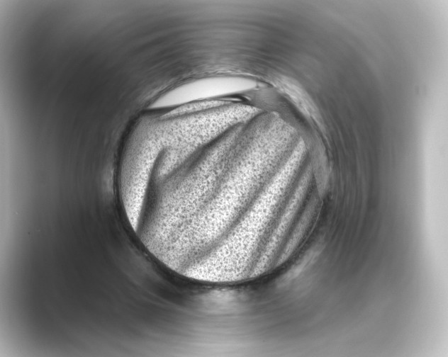 X0000088730441200706212042