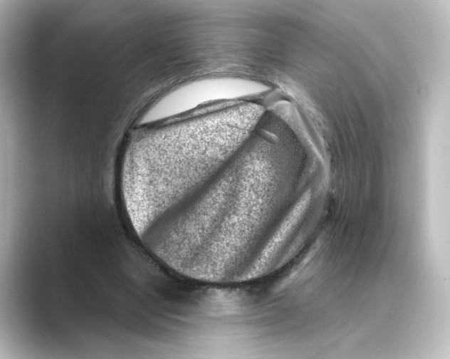 X0000088730442200706212042