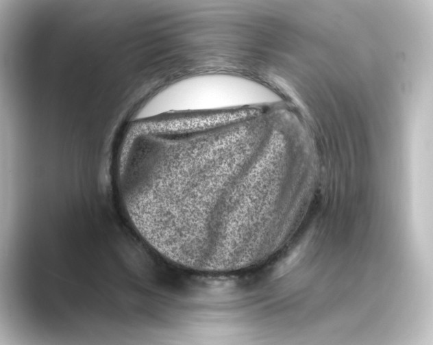 X0000088730443200706212042