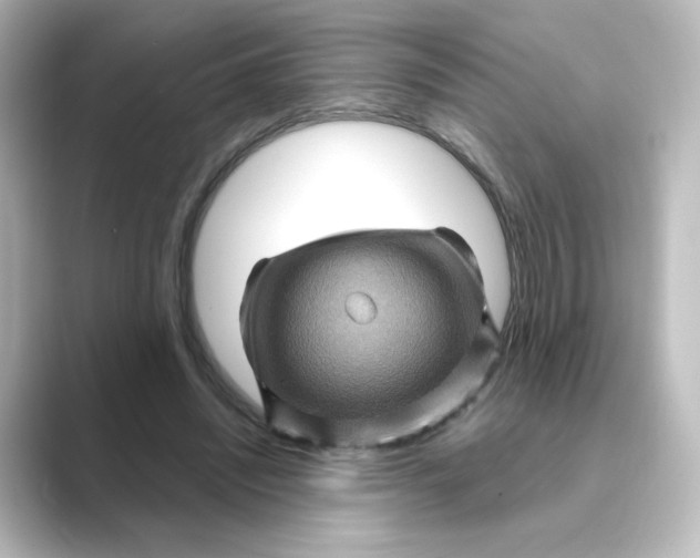 X0000088730444200706212042