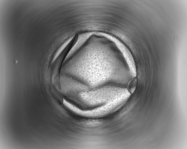 X0000088730445200706212042