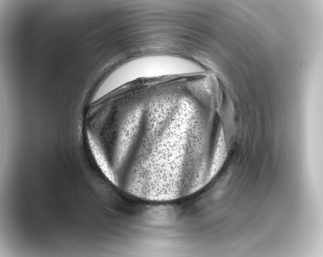 X0000088730446200706212042