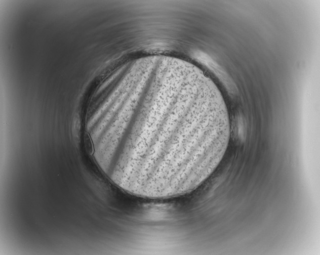 X0000088730448200706212042