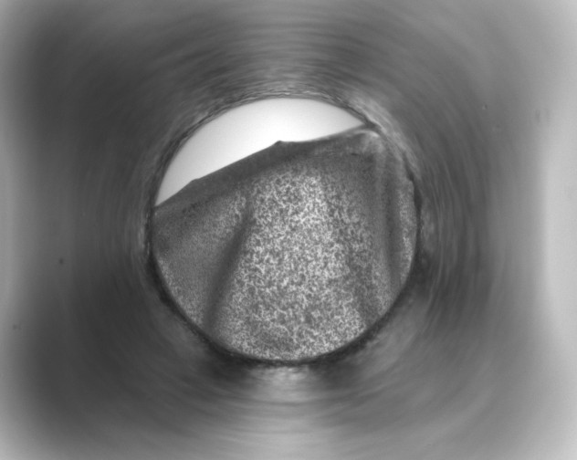 X0000088730449200706212042