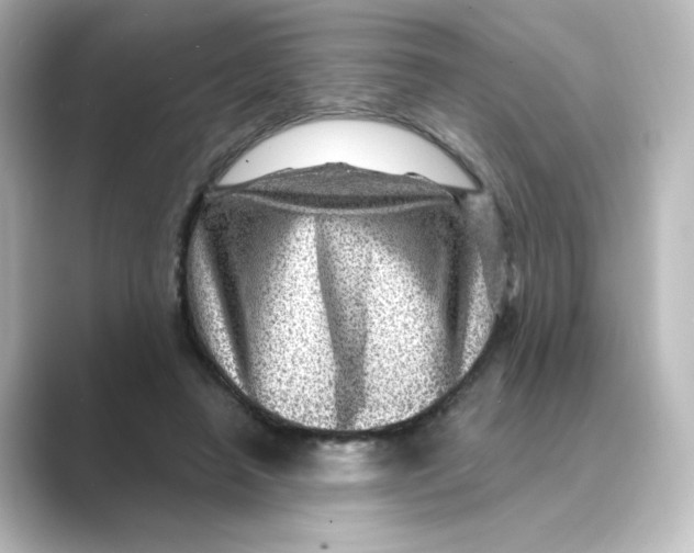 X0000088730450200706212042