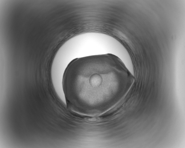 X0000088730452200706212042