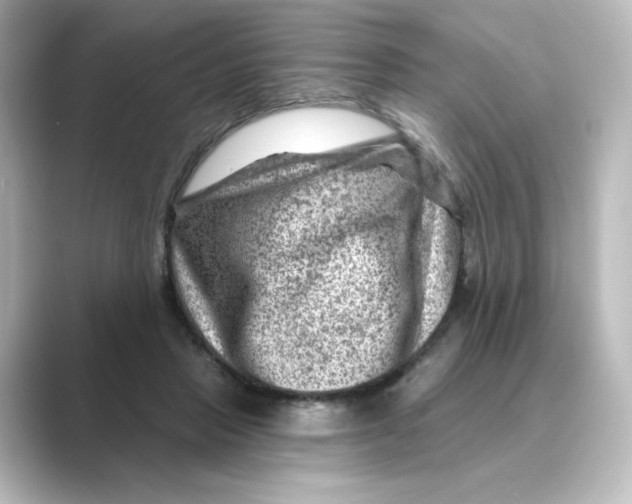 X0000088730453200706212042