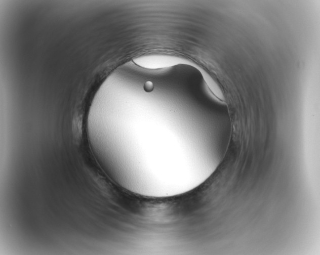 X0000088730454200706212042