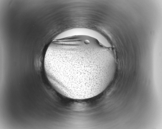 X0000088730455200706212042