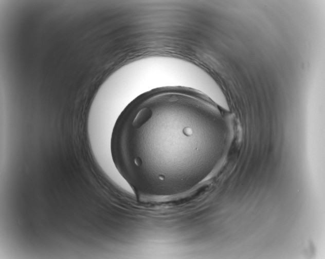 X0000088730456200706212042