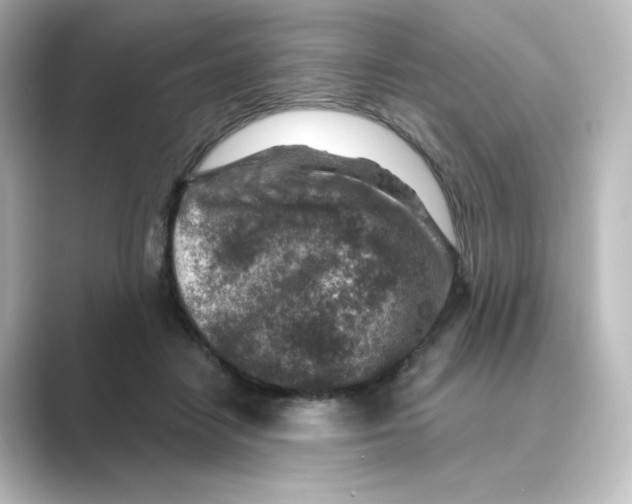 X0000088730458200706212042