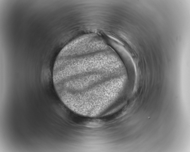 X0000088730459200706212042